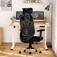 Ergonomic Chair